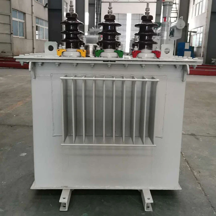 100kva panardinamas į alyvą transformatorius